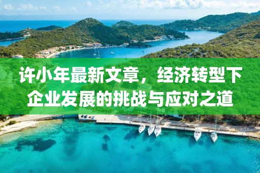 许小年最新文章，经济转型下企业发展的挑战与应对之道