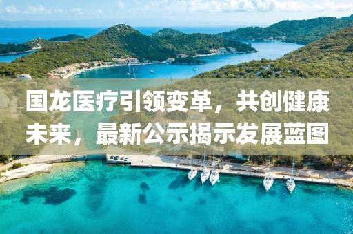 国龙医疗引领变革，共创健康未来，最新公示揭示发展蓝图