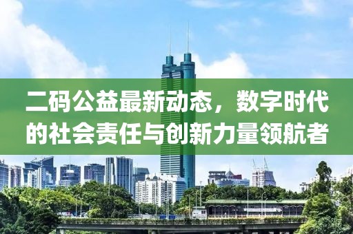 二码公益最新动态，数字时代的社会责任与创新力量领航者