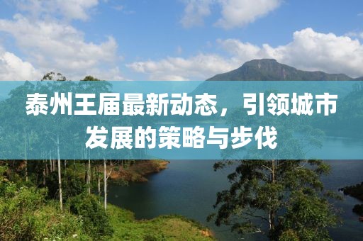 泰州王届最新动态，引领城市发展的策略与步伐