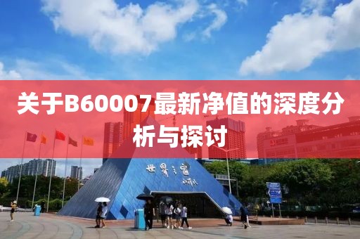 关于B60007最新净值的深度分析与探讨