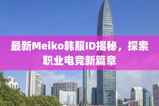 最新Meiko韩服ID揭秘，探索职业电竞新篇章