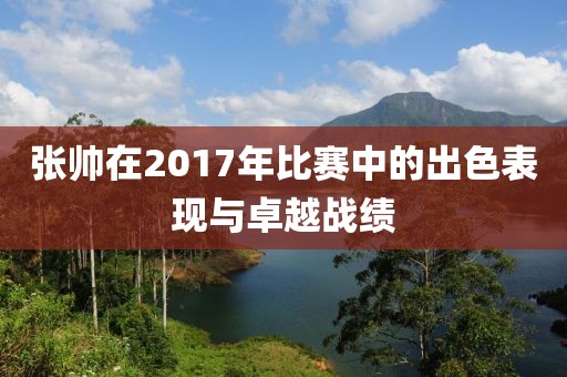 张帅在2017年比赛中的出色表现与卓越战绩
