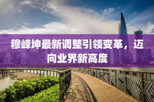 穆嵘坤最新调整引领变革，迈向业界新高度
