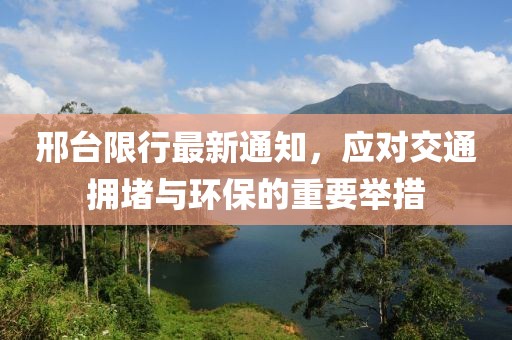 黎音雨 第11页