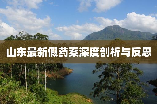 山东最新假药案深度剖析与反思