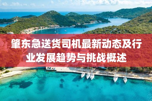 肇东急送货司机最新动态及行业发展趋势与挑战概述