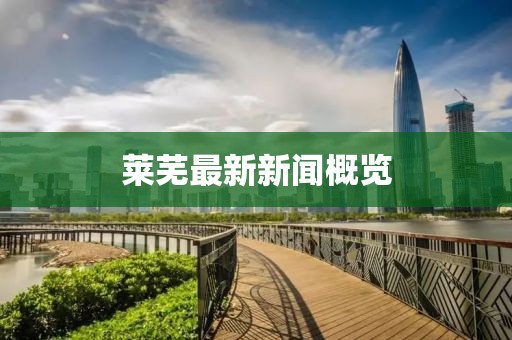 莱芜最新新闻概览