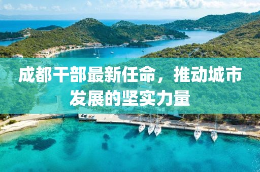 成都干部最新任命，推动城市发展的坚实力量