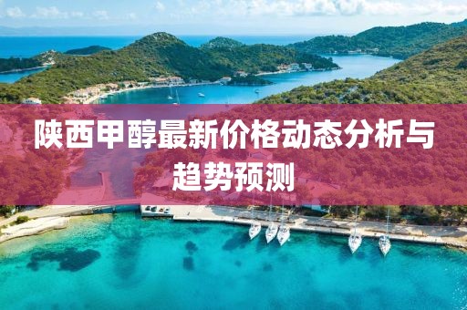 陕西甲醇最新价格动态分析与趋势预测