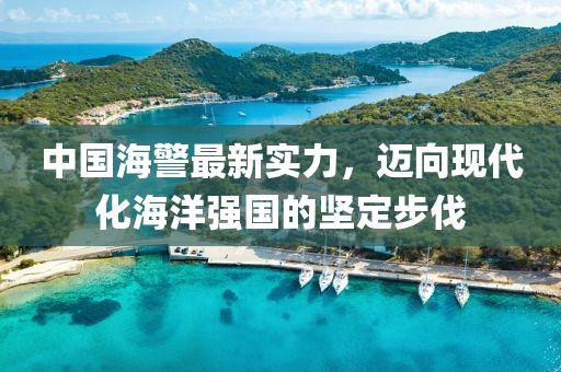 中国海警最新实力，迈向现代化海洋强国的坚定步伐