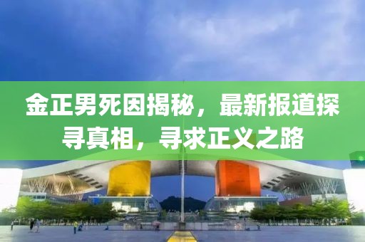 金正男死因揭秘，最新报道探寻真相，寻求正义之路