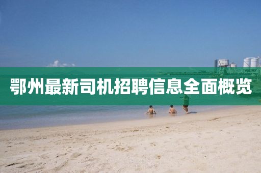 鄂州最新司机招聘信息全面概览