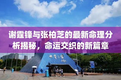 谢霆锋与张柏芝的最新命理分析揭秘，命运交织的新篇章
