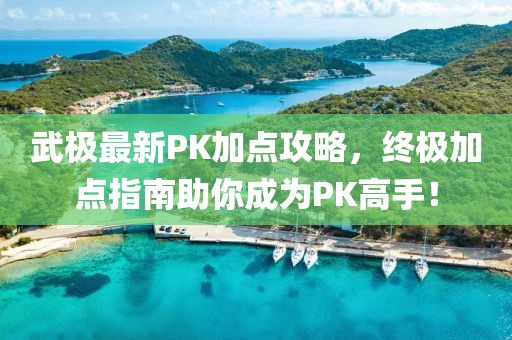 武极最新PK加点攻略，终极加点指南助你成为PK高手！