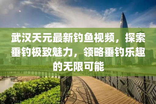 武汉天元最新钓鱼视频，探索垂钓极致魅力，领略垂钓乐趣的无限可能