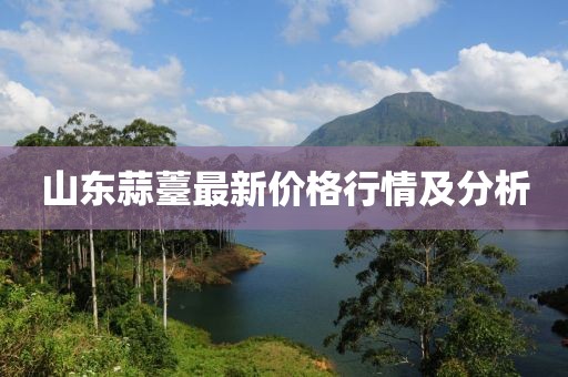 山东蒜薹最新价格行情及分析