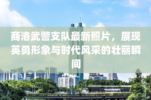 商洛武警支队最新照片，展现英勇形象与时代风采的壮丽瞬间