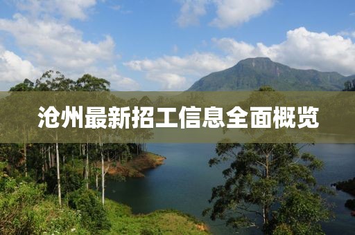 沧州最新招工信息全面概览