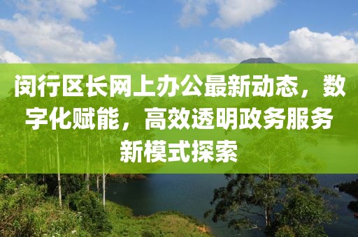 闵行区长网上办公最新动态，数字化赋能，高效透明政务服务新模式探索