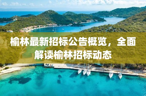 榆林最新招标公告概览，全面解读榆林招标动态