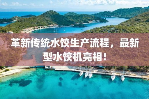 革新传统水饺生产流程，最新型水饺机亮相！