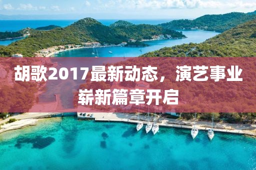 胡歌2017最新动态，演艺事业崭新篇章开启