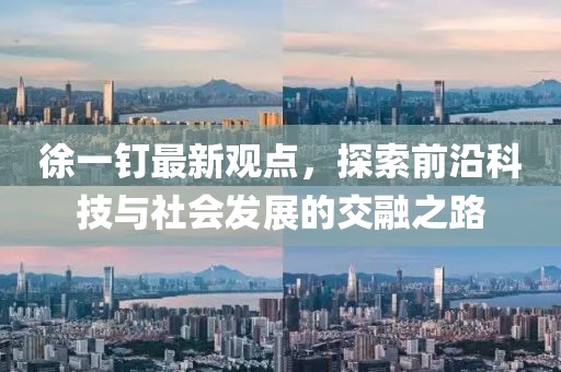徐一钉最新观点，探索前沿科技与社会发展的交融之路