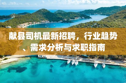 献县司机最新招聘，行业趋势、需求分析与求职指南