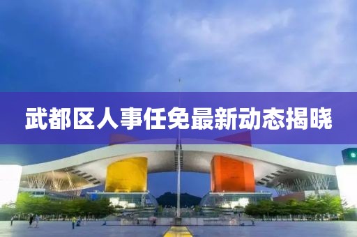 武都区人事任免最新动态揭晓