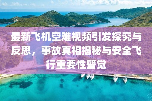 最新飞机空难视频引发探究与反思，事故真相揭秘与安全飞行重要性警觉