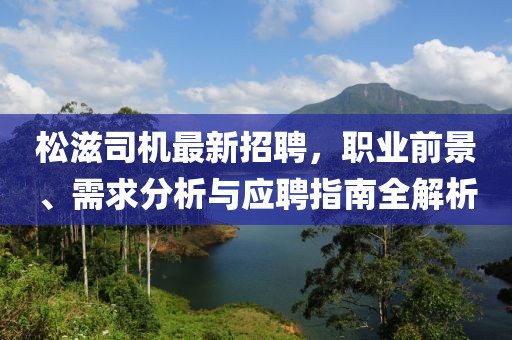 松滋司机最新招聘，职业前景、需求分析与应聘指南全解析