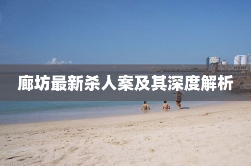 廊坊最新杀人案及其深度解析