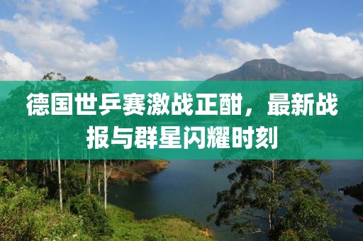 德国世乒赛激战正酣，最新战报与群星闪耀时刻