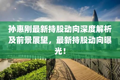 孙惠刚最新持股动向深度解析及前景展望，最新持股动向曝光！