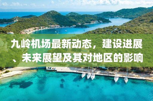 九岭机场最新动态，建设进展、未来展望及其对地区的影响