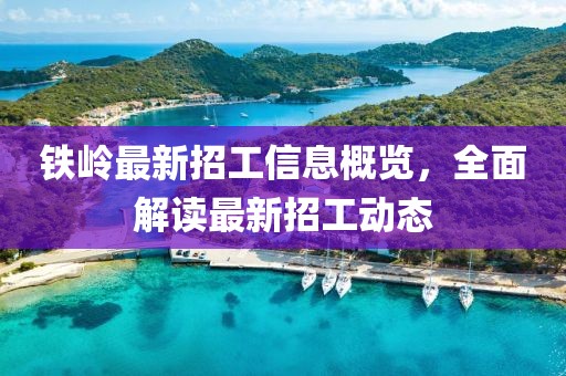 铁岭最新招工信息概览，全面解读最新招工动态