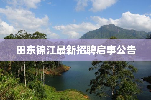 田东锦江最新招聘启事公告