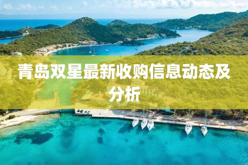 青岛双星最新收购信息动态及分析