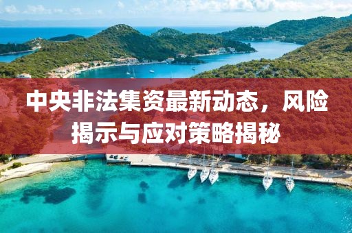 中央非法集资最新动态，风险揭示与应对策略揭秘