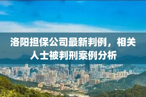 洛阳担保公司最新判例，相关人士被判刑案例分析
