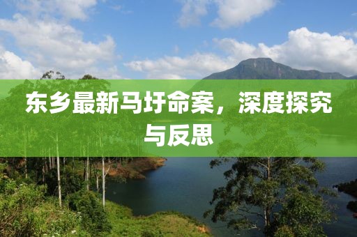东乡最新马圩命案，深度探究与反思