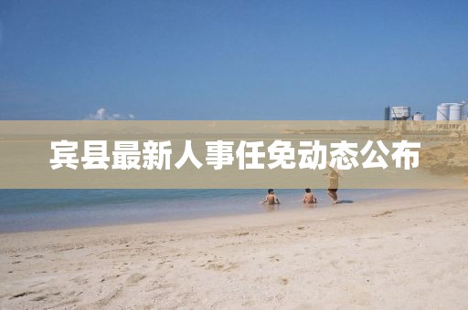 宾县最新人事任免动态公布