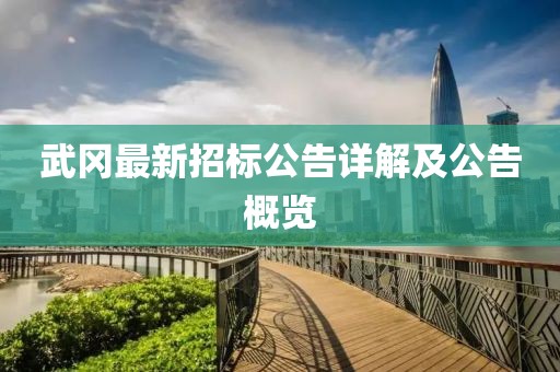 武冈最新招标公告详解及公告概览