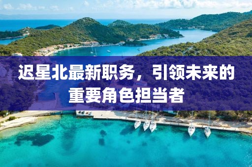 迟星北最新职务，引领未来的重要角色担当者