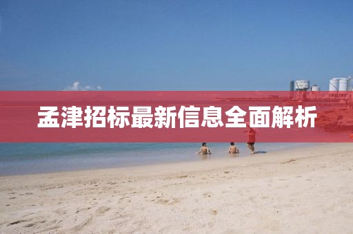 孟津招标最新信息全面解析