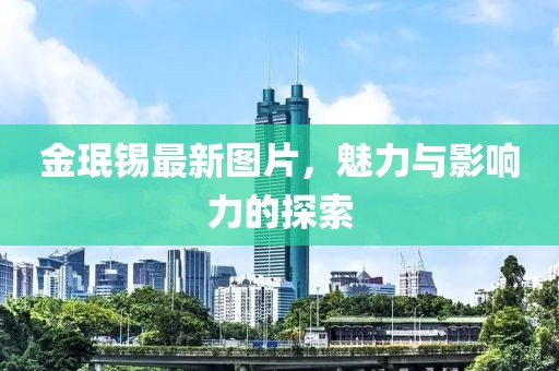 金珉锡最新图片，魅力与影响力的探索