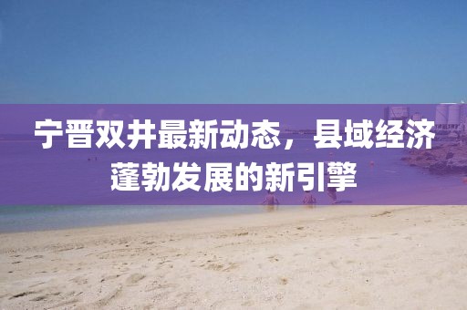 宁晋双井最新动态，县域经济蓬勃发展的新引擎