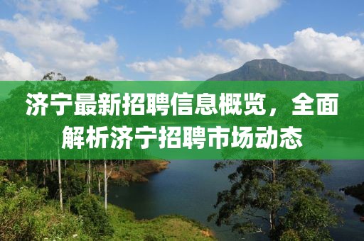 济宁最新招聘信息概览，全面解析济宁招聘市场动态