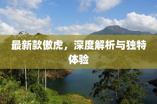 最新款傲虎，深度解析与独特体验